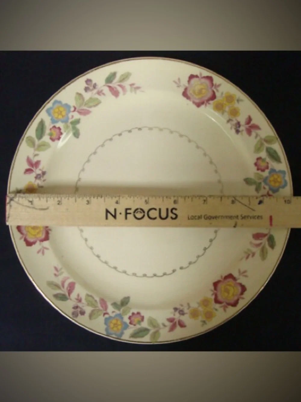 Paden City Pottery PCP173 Dinner Plates 10